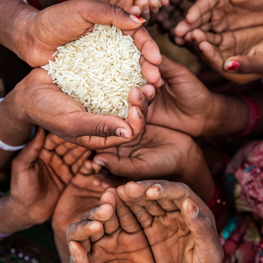 Alimentando el Futuro: Mujeres en la Lucha contra el Hambre y la Malnutrición ODS 2